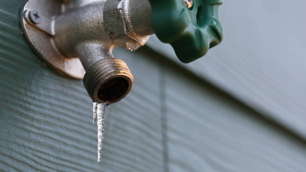 Best Clogged Drain Plumber  in Oak View, CA