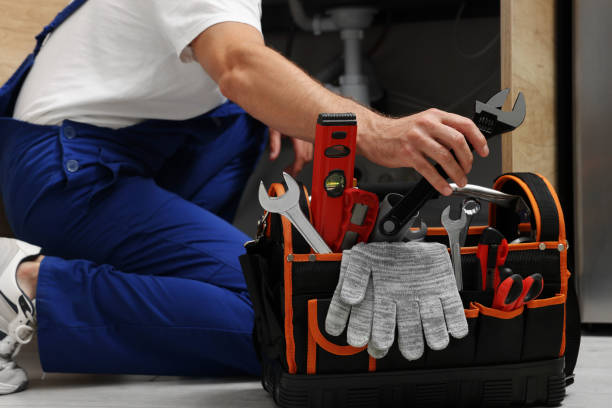Best Residential Plumbing Services  in Oak View, CA